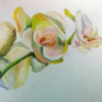 Art by Aga Czech: ORCHID