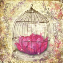 Art by Aga Czech: FREE THYSELF TO BLOOM